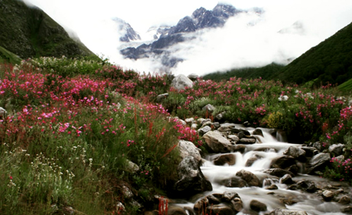 Valley Of Flowers Trek 2024 Uttarakhand India   Valley Trek 